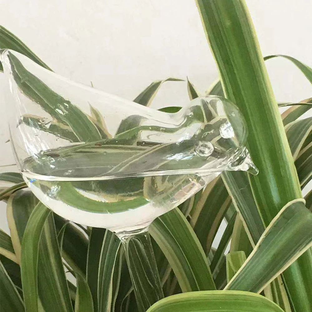 Bird Watering Globes (5-pack)