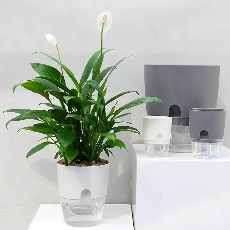 Clear-Reservoir Wicking Pot