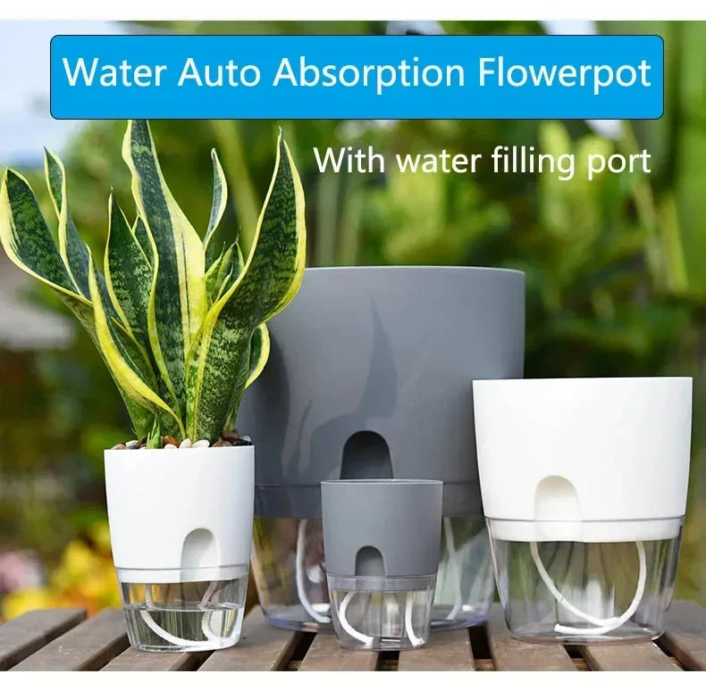 Clear-Reservoir Wicking Pot