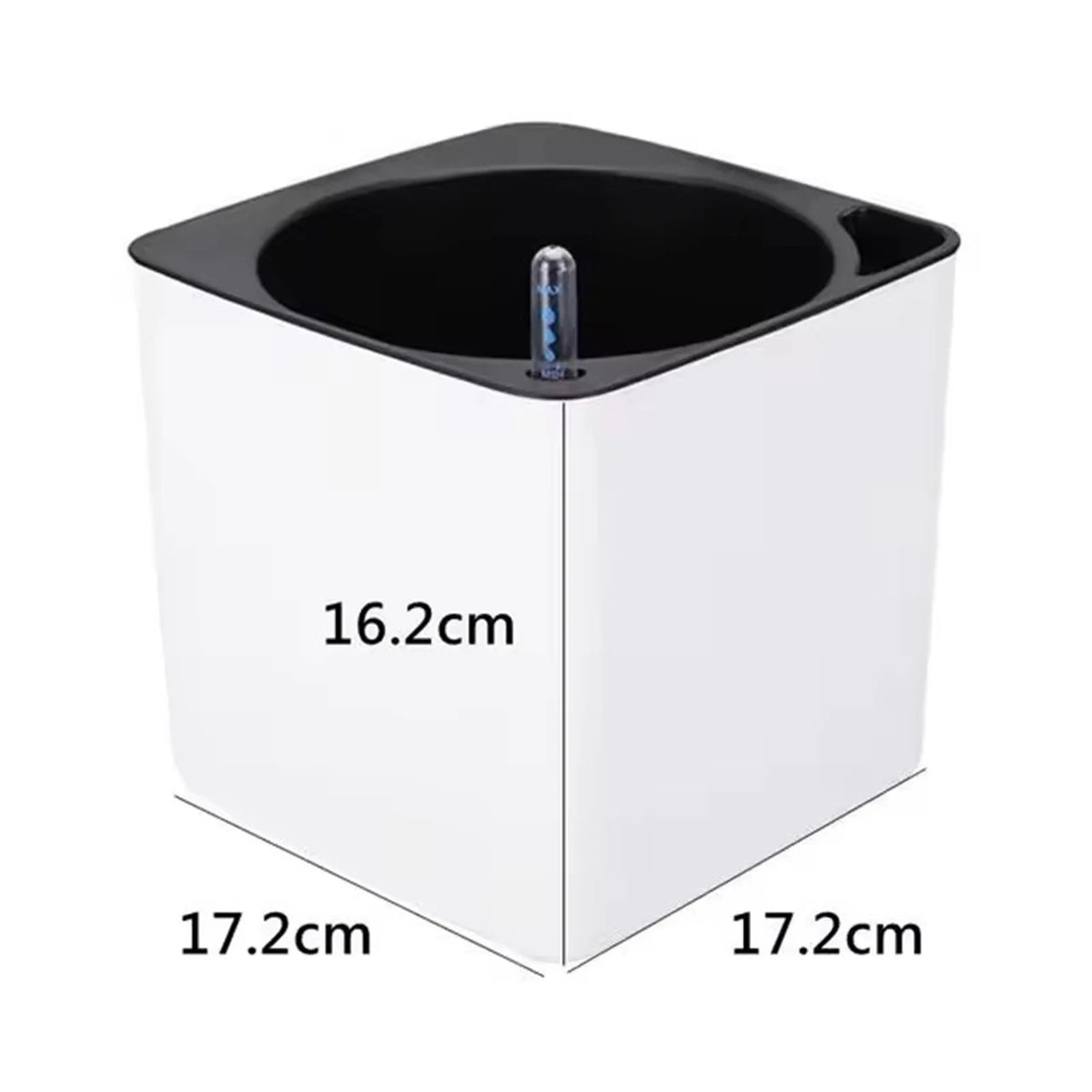 Self-Watering Planter with Water-Level Indicator