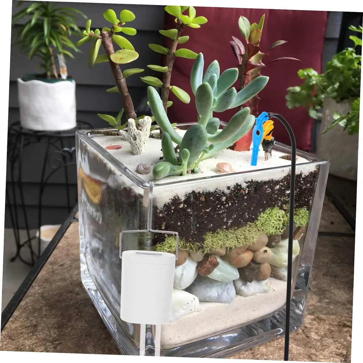 Vacation Drip Watering Kit with Timer