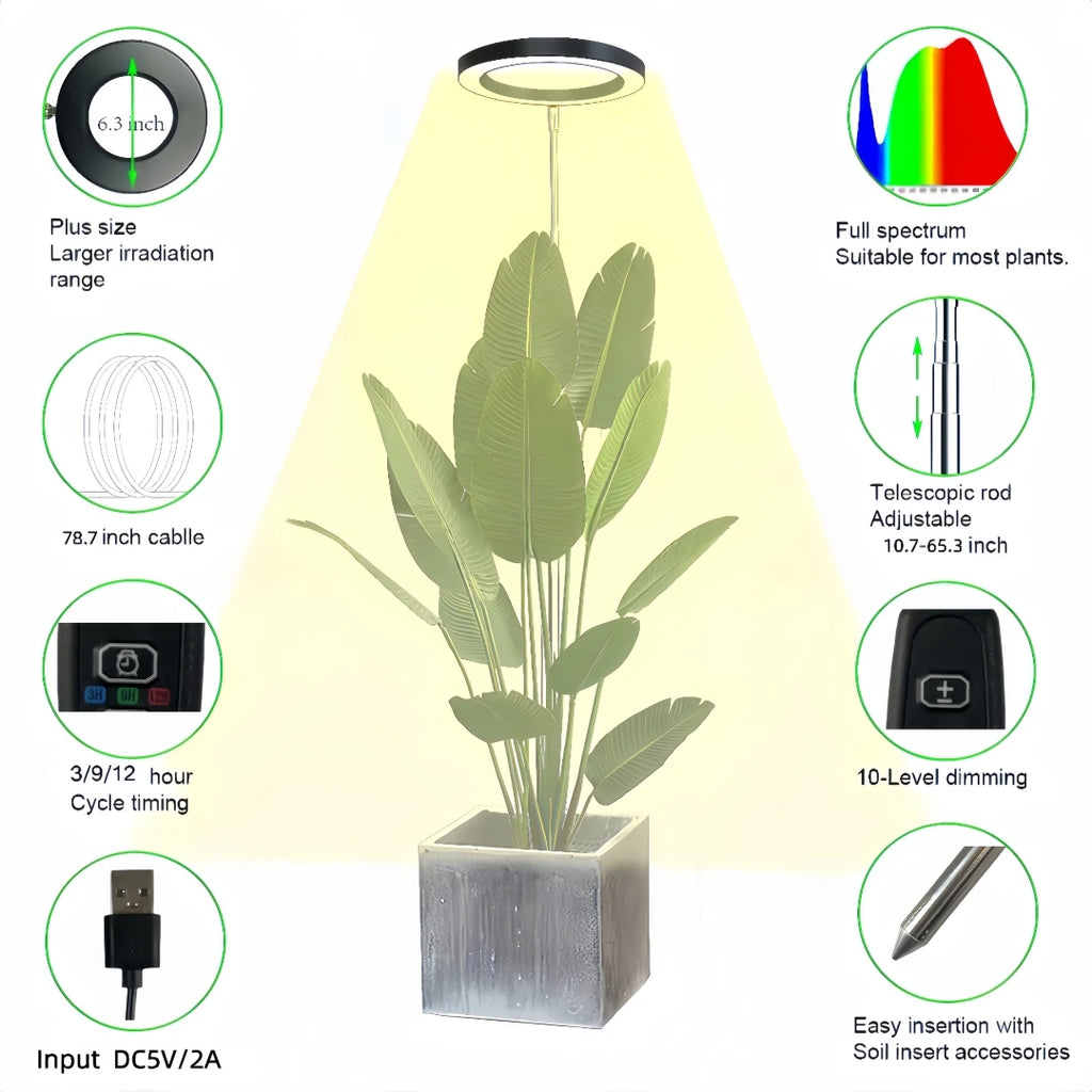Halo Grow Light with Auto Timer