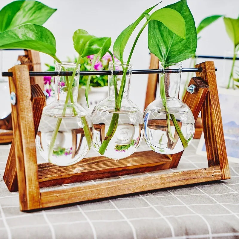 Glass Bulb Propagation Station