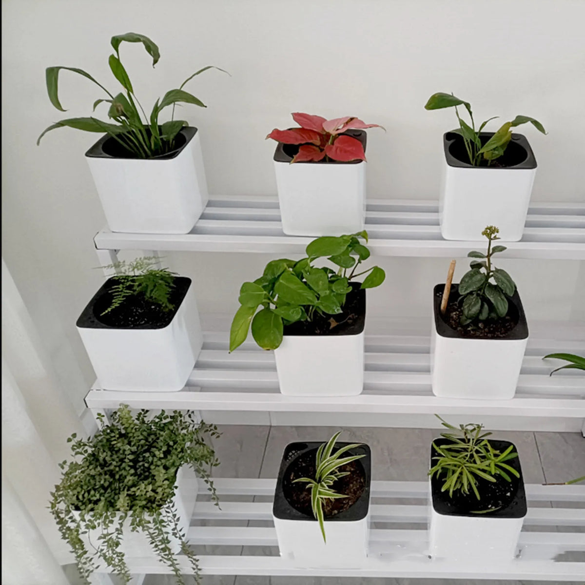 Self-Watering Planter with Water-Level Indicator