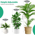Halo Grow Light with Auto Timer