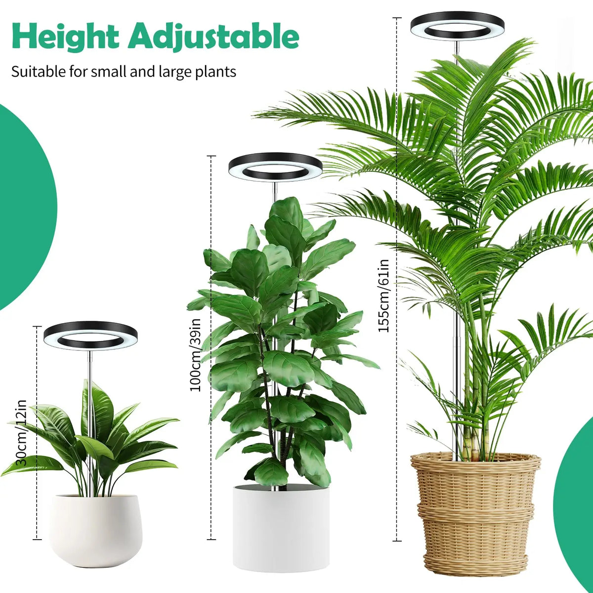 Halo Grow Light with Auto Timer