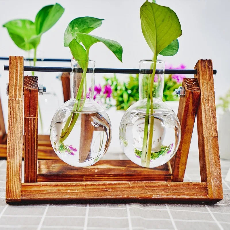 Glass Bulb Propagation Station
