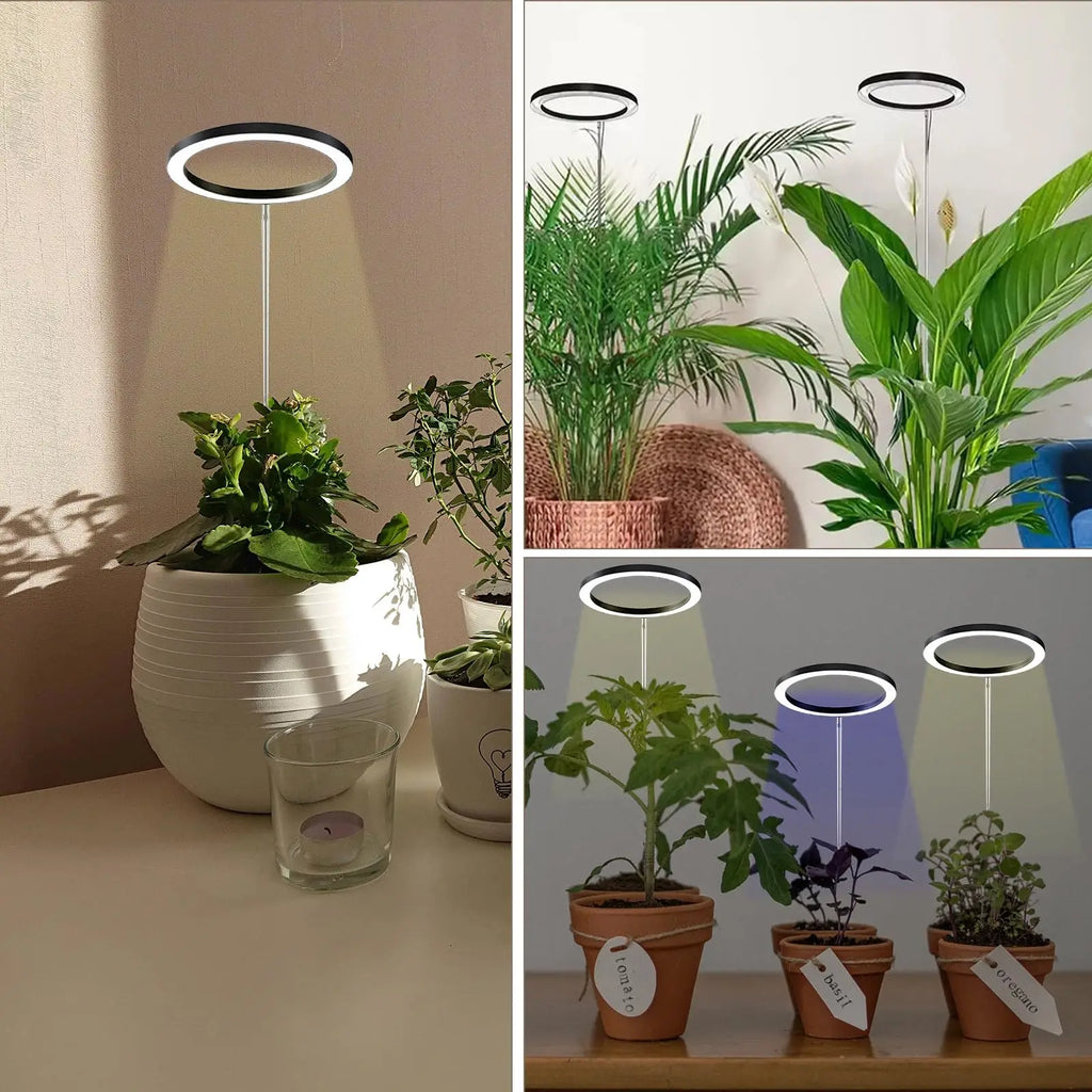 Halo Grow Light with Auto Timer