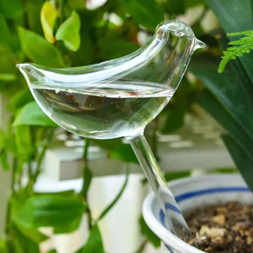 Bird Watering Globes (5-pack)