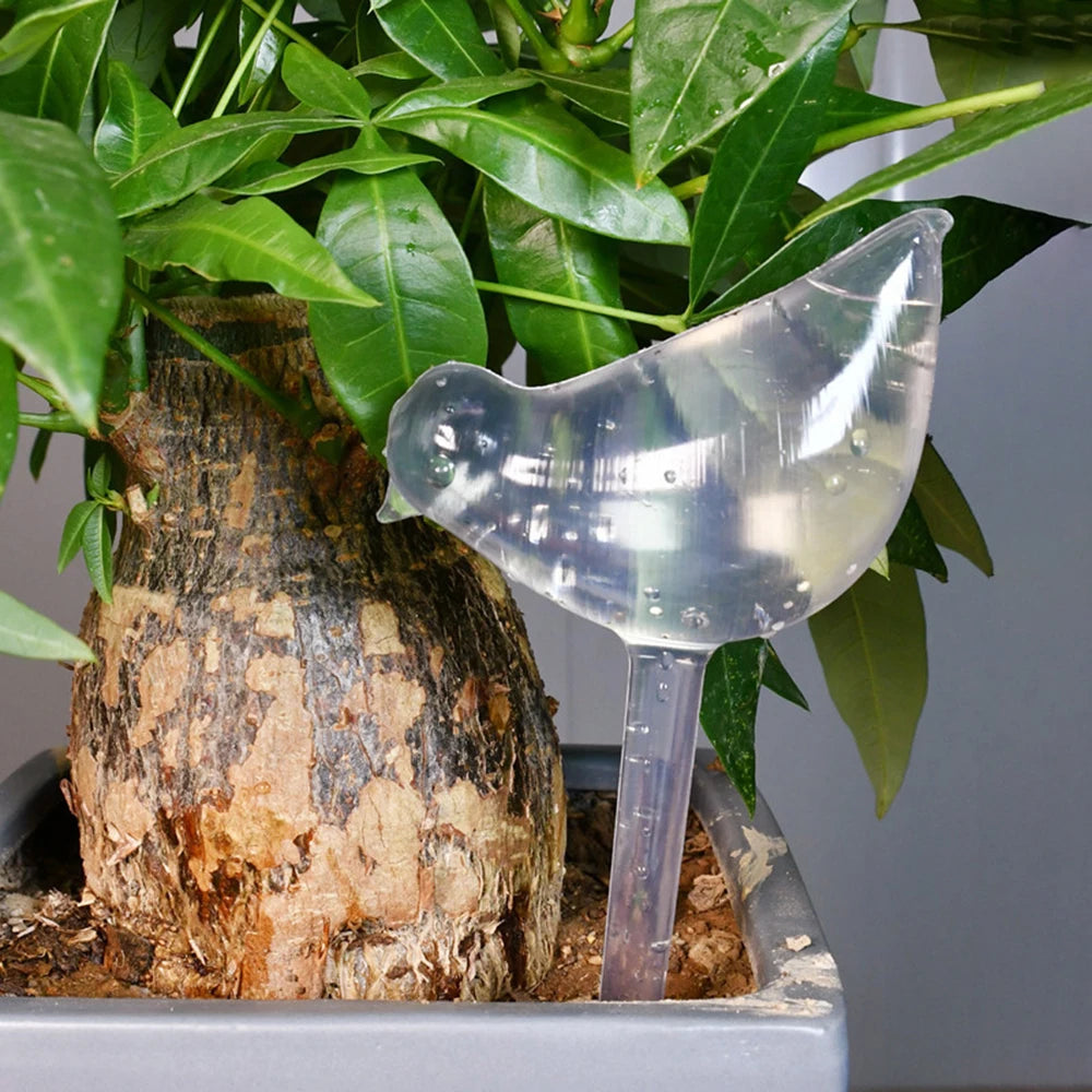 Bird Watering Globes (5-pack)