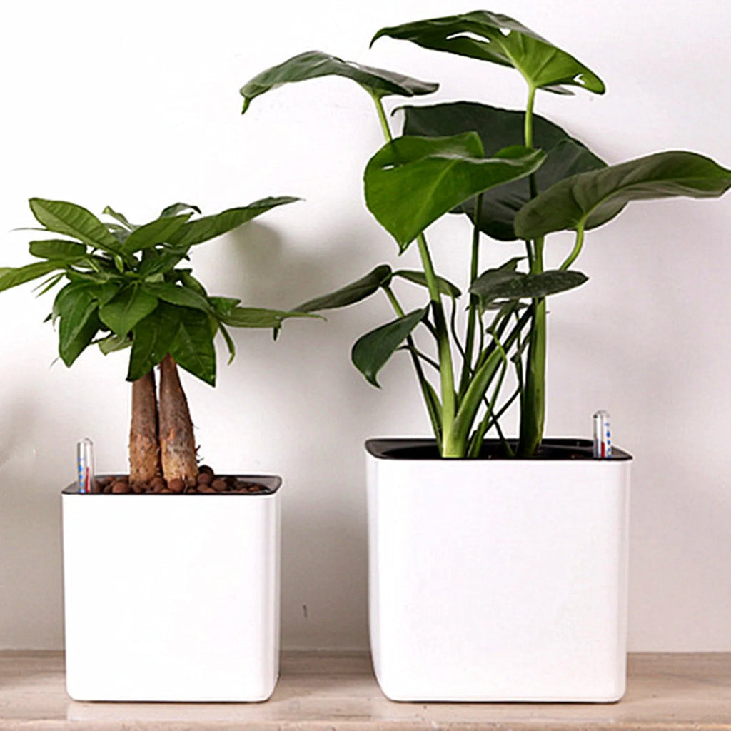 Self-Watering Planter with Water-Level Indicator