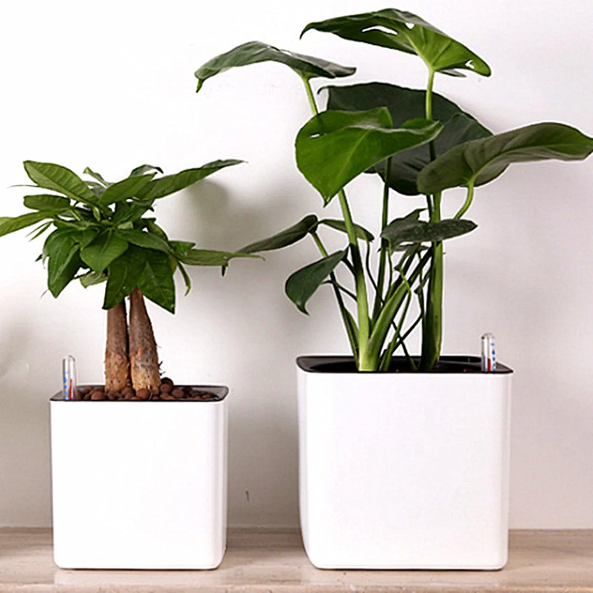 Self-Watering Planter with Water-Level Indicator