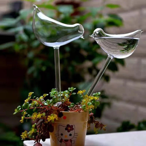 Bird Watering Globes (5-pack)