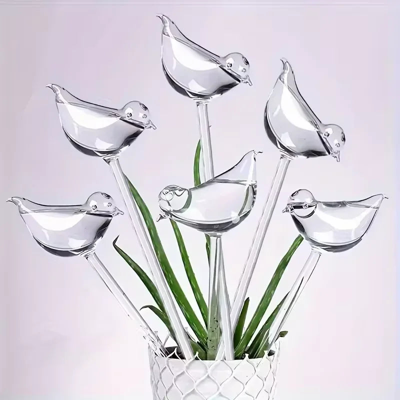 Bird Watering Globes (5-pack)