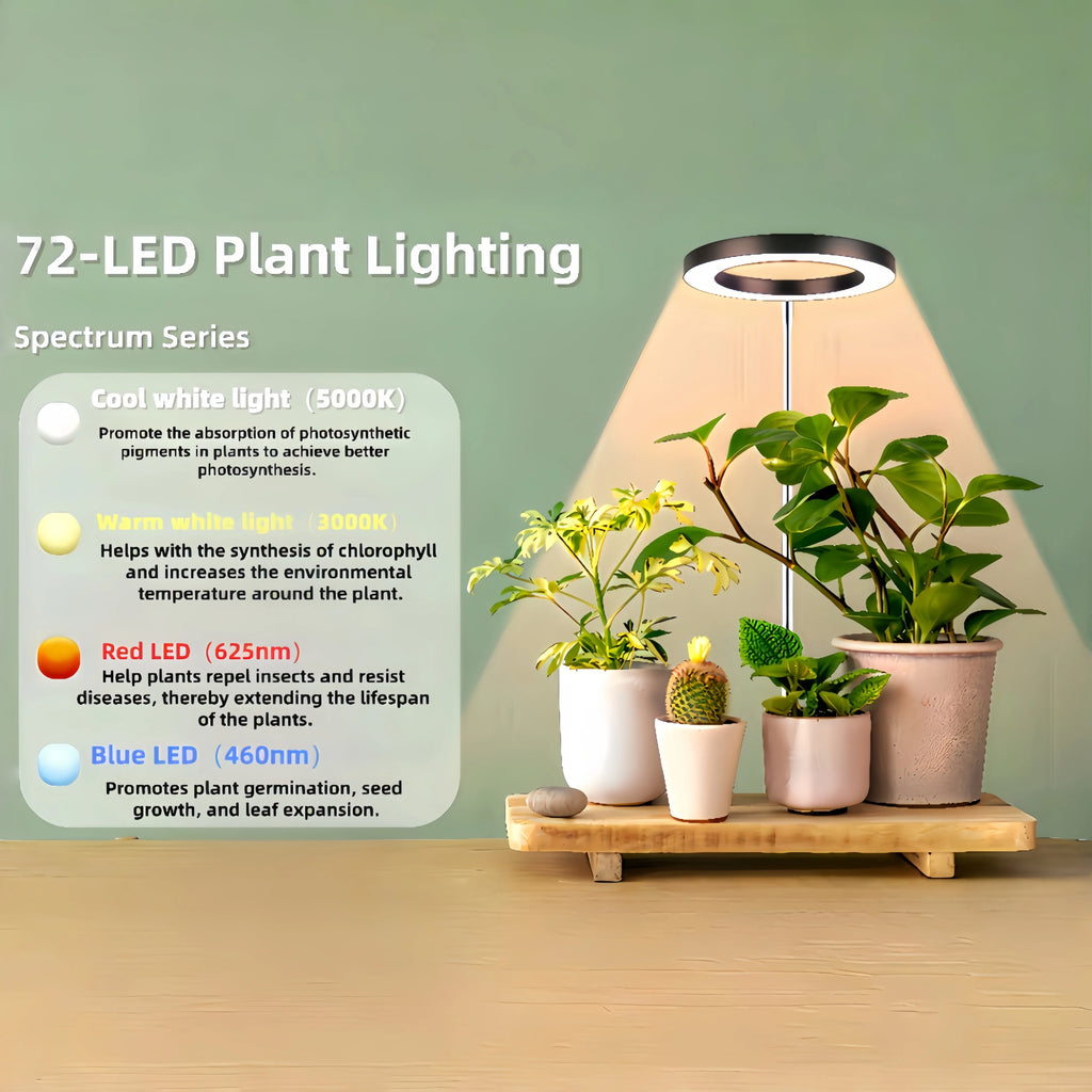 Halo Grow Light with Auto Timer