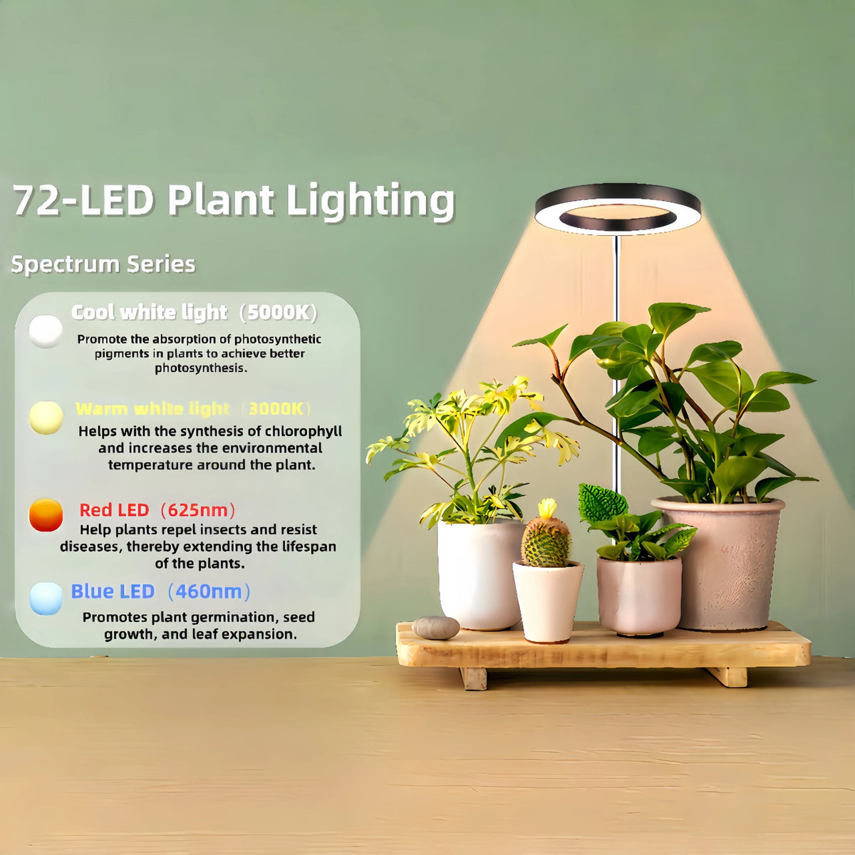 Halo Grow Light with Auto Timer