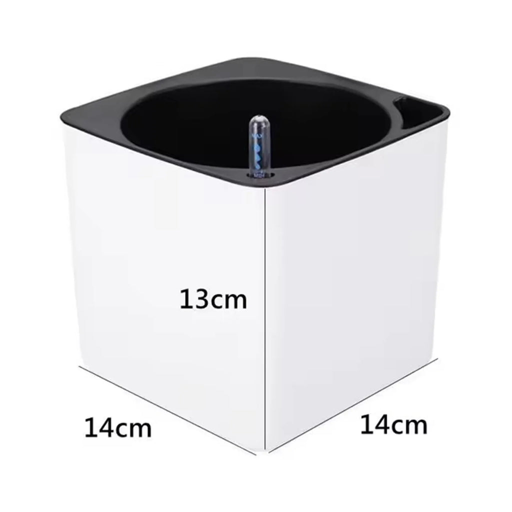 Self-Watering Planter with Water-Level Indicator