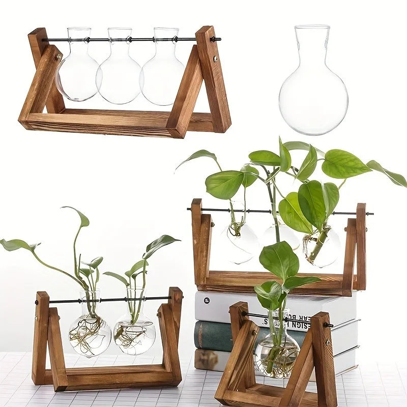 Glass Bulb Propagation Station