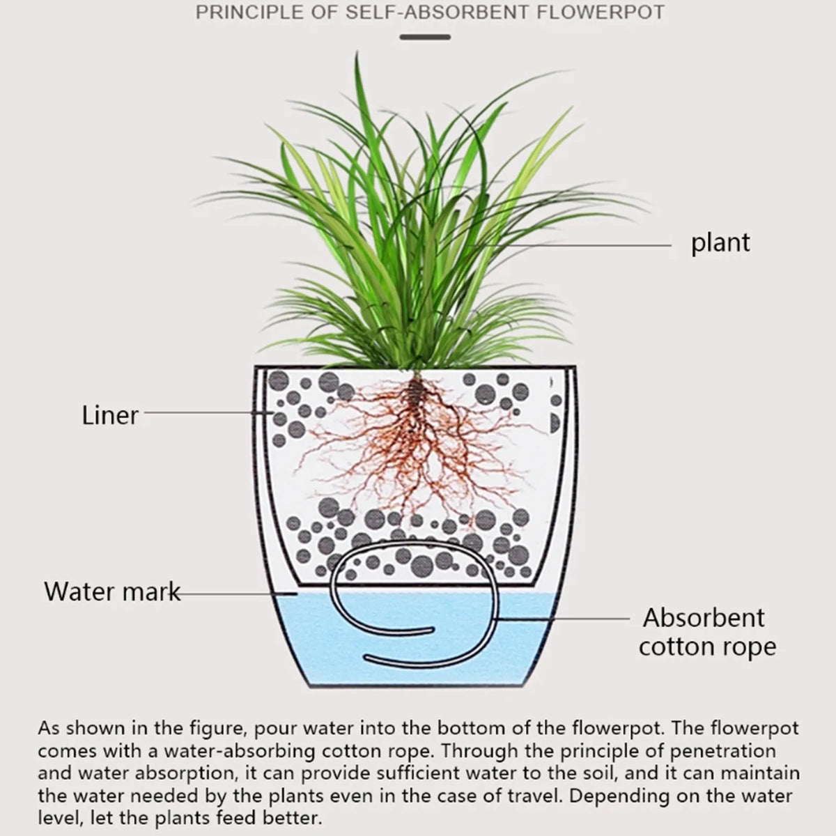 Self-Watering Planter with Water-Level Indicator