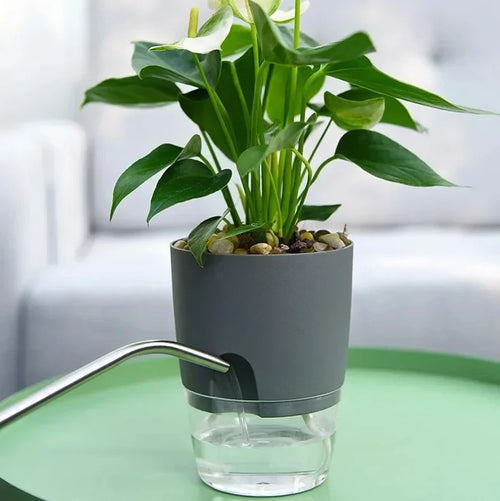 Clear-Reservoir Wicking Pot